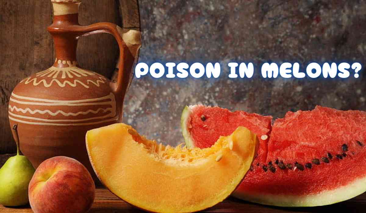 Blog Banner