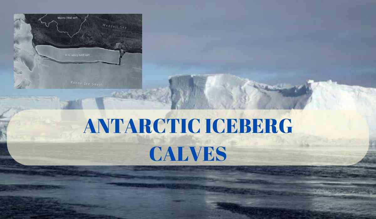 Blog Banner