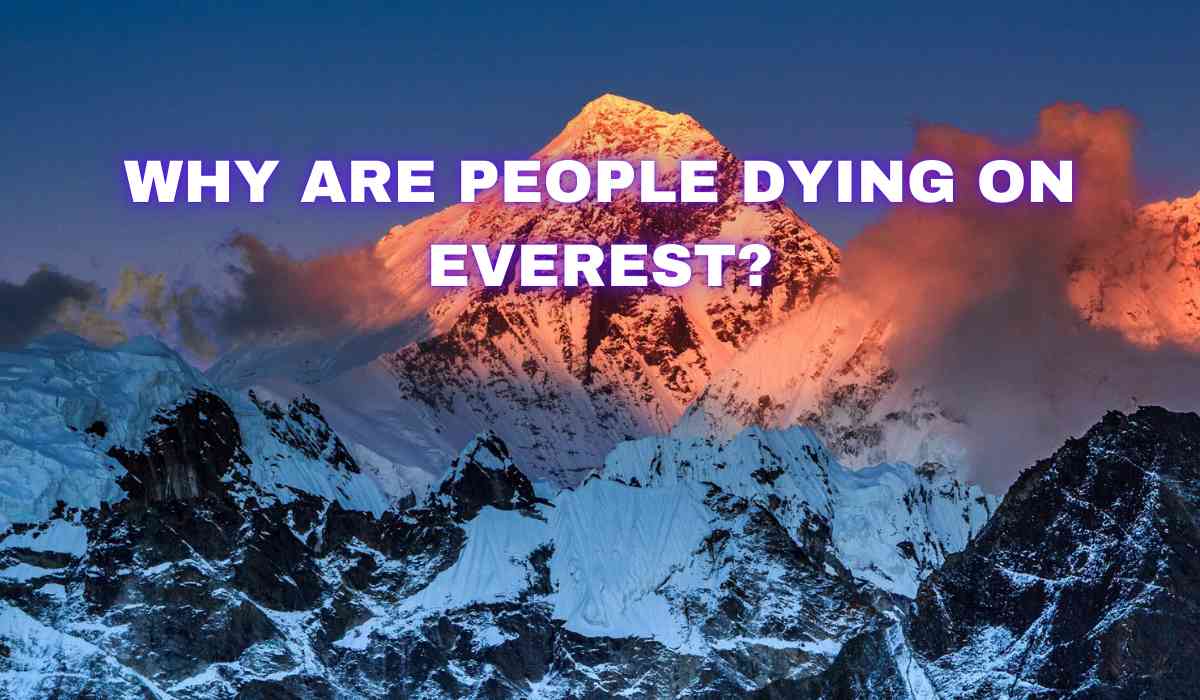 Blog Banner