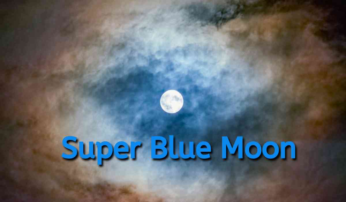 Blog Banner