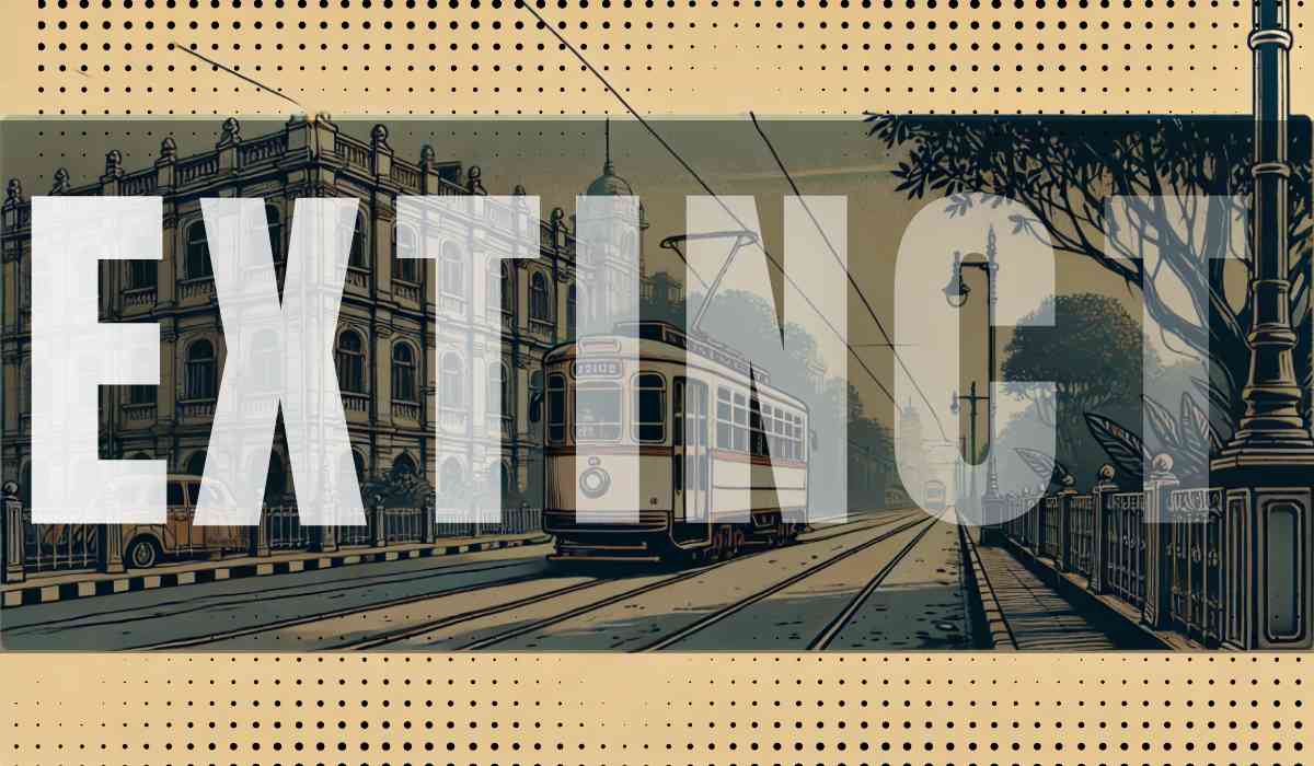 Blog Banner