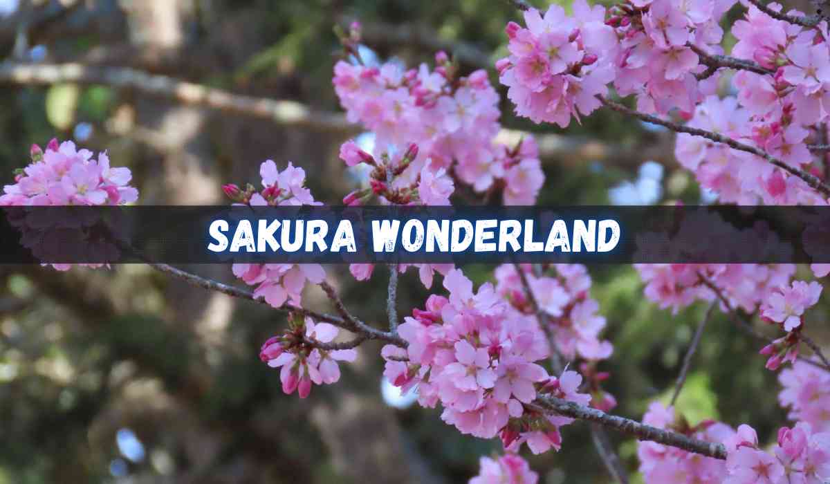 Blog Banner