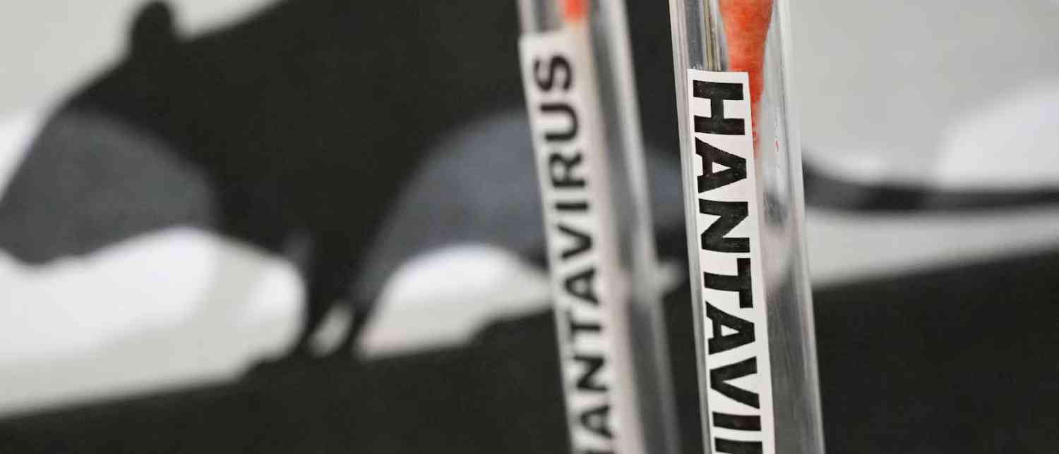 Blog Banner