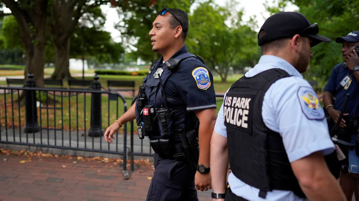 1 killed, 6 injured in mass shooting at park in new york