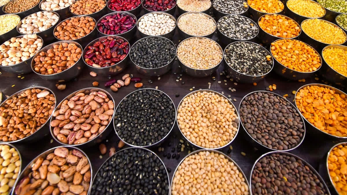 India Imposes 30% Tariff on US Pulses: Senators Urge Trump to Intervene as Trade Tensions Simmer