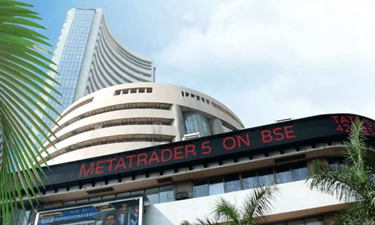 Sensex up 600 points on a bumper day