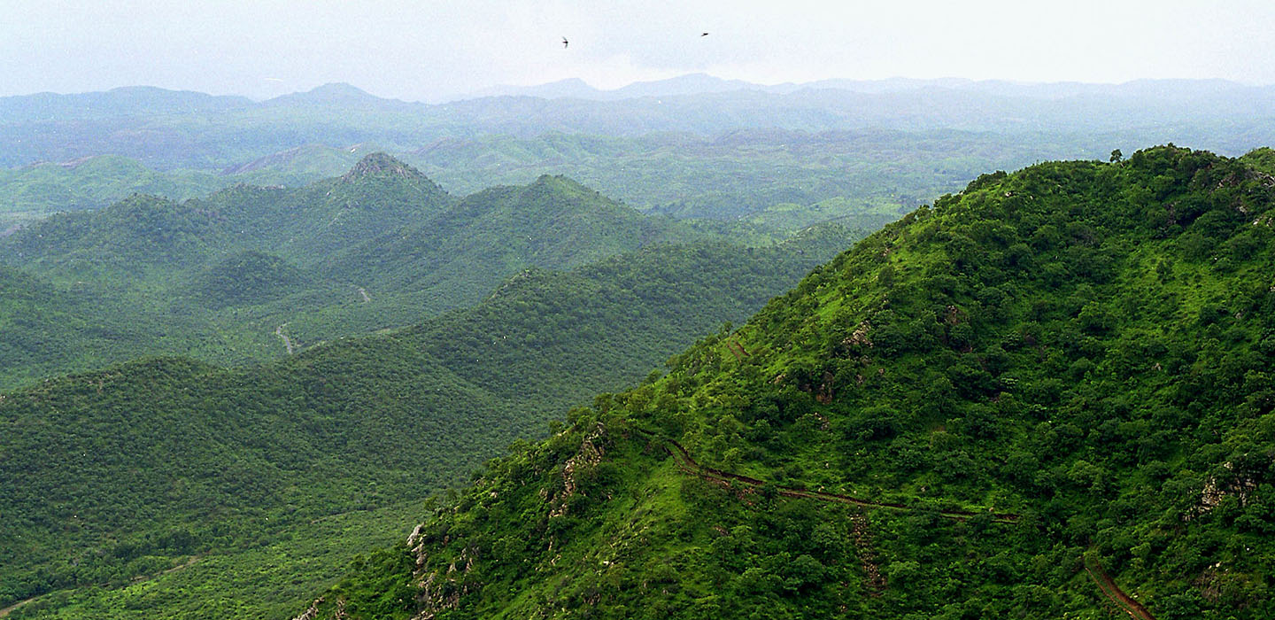 aravali hills gurugram