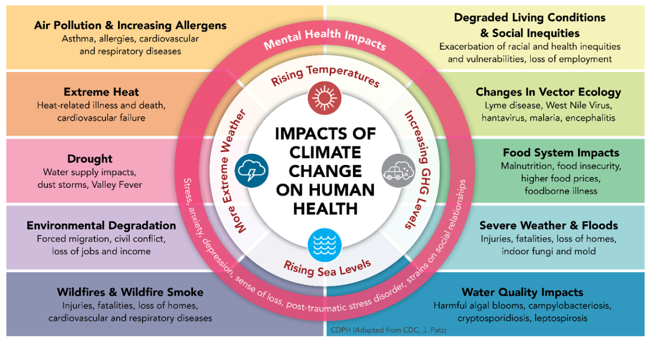 air pollution and health
