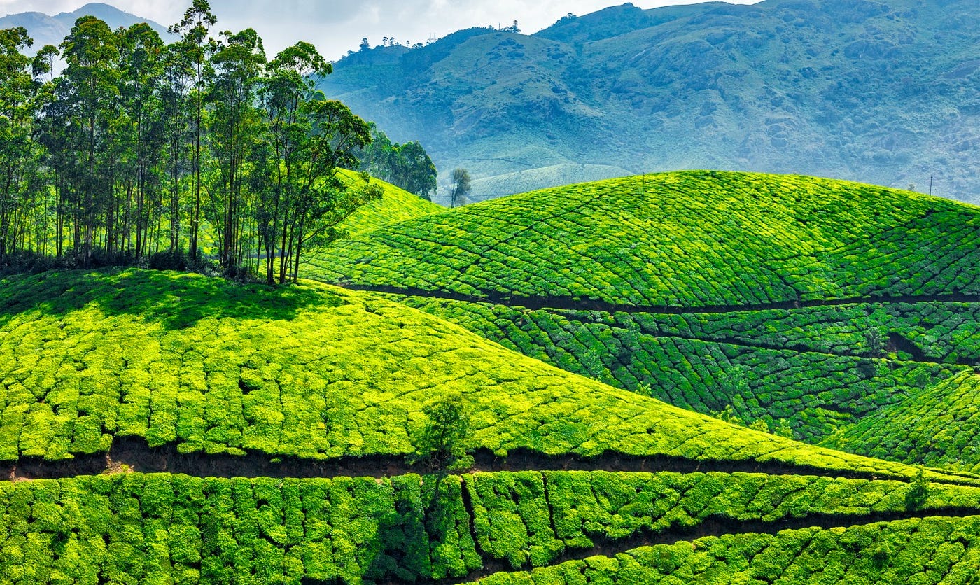 Kerala becomes Keralam