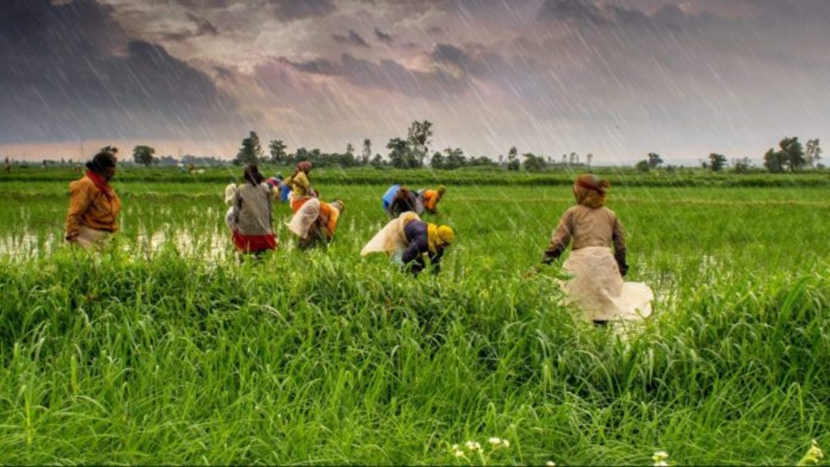 Indian Agriculture