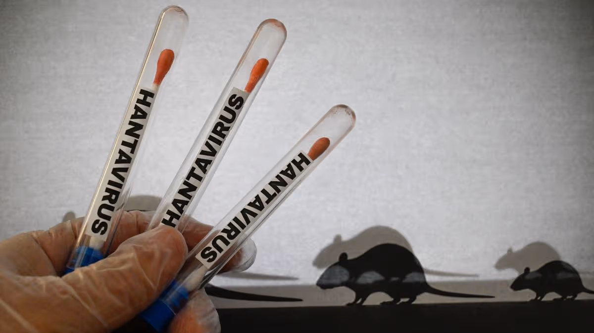hantavirus