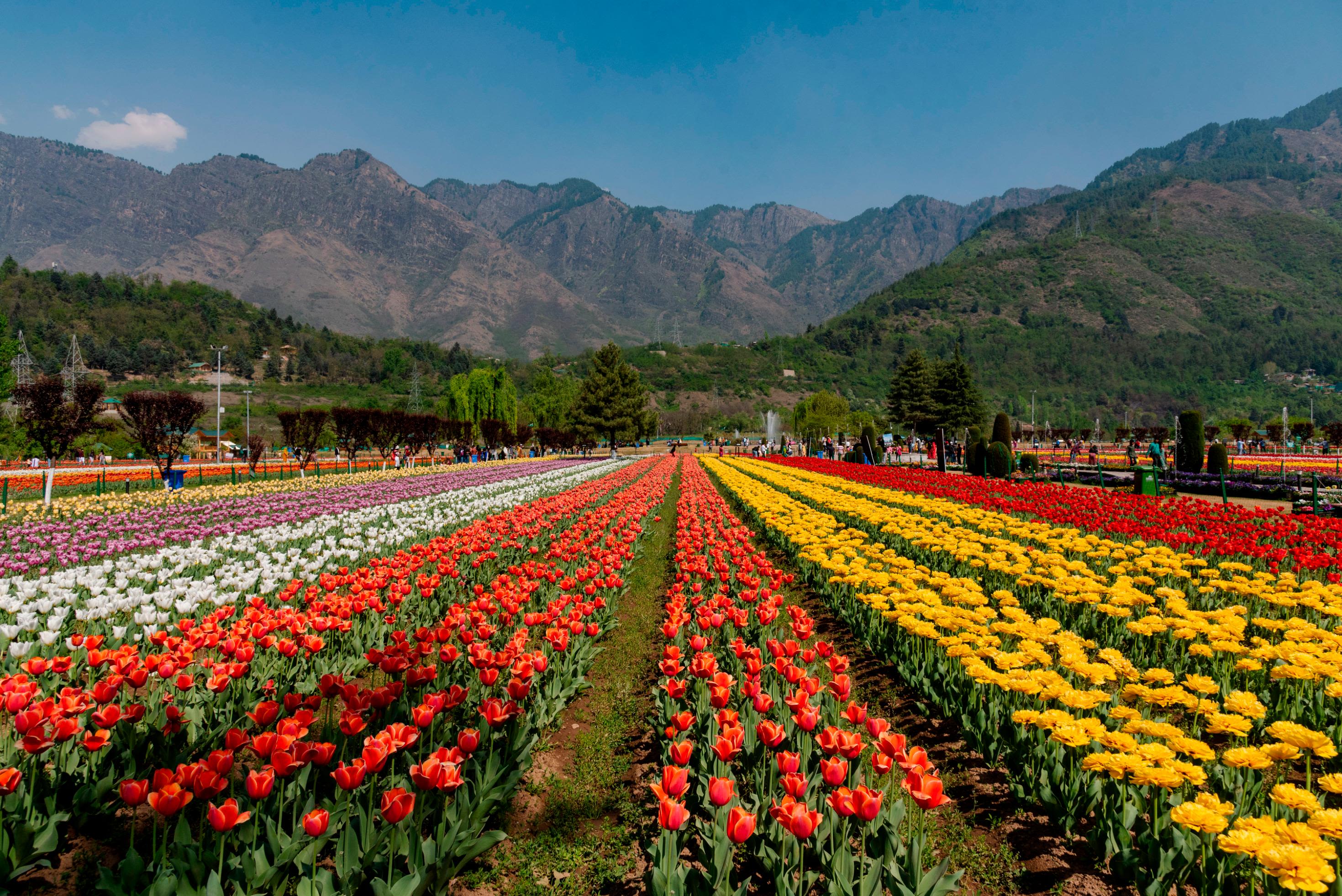 J&K’s Economy and Tourism Plunge After Deadly Pahalgam Attack Amid Rising India-Pakistan Tensions