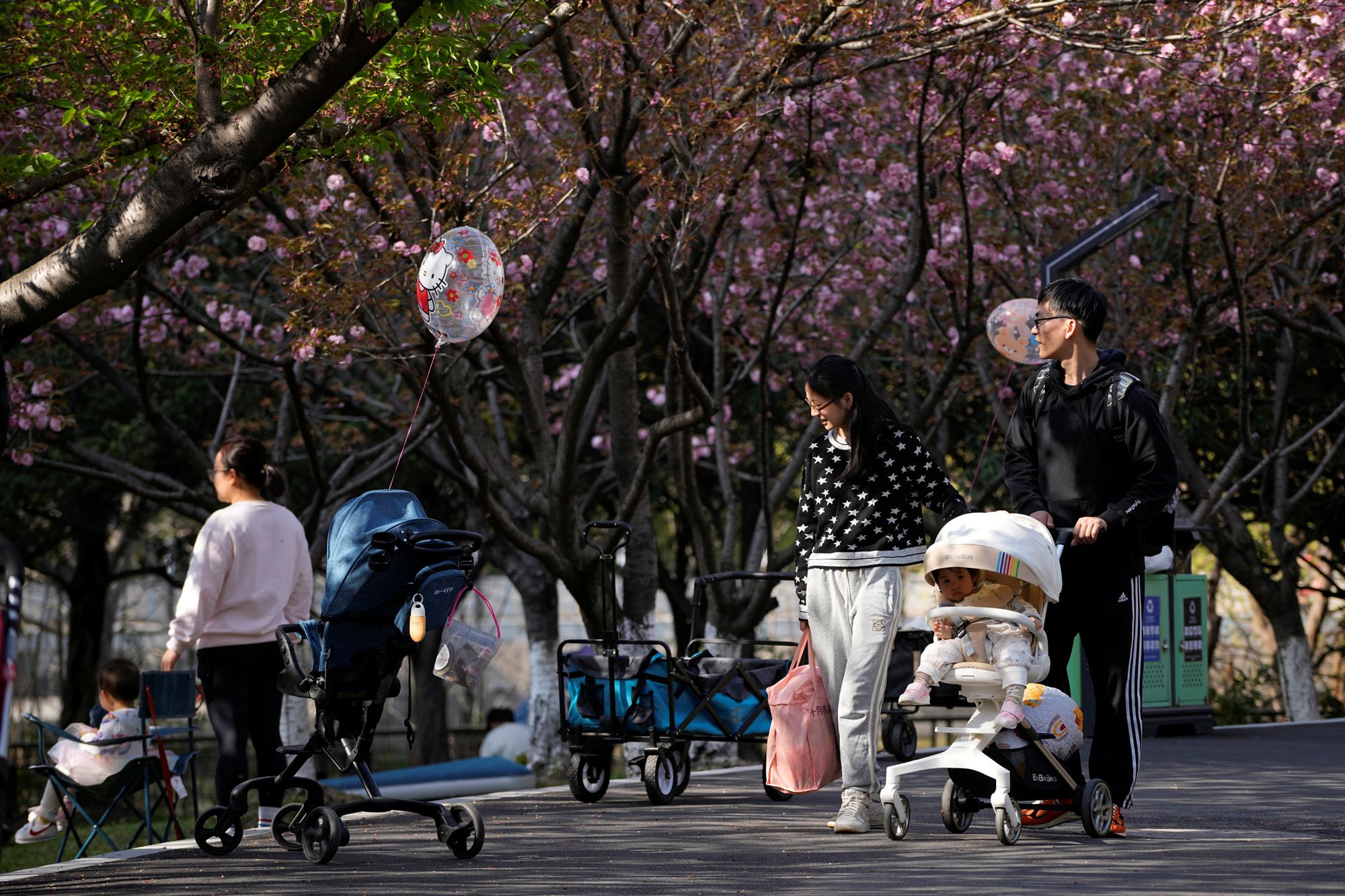 China's birth rate plunges second year in a row