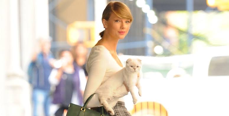 Taylor Swift with her cat. 