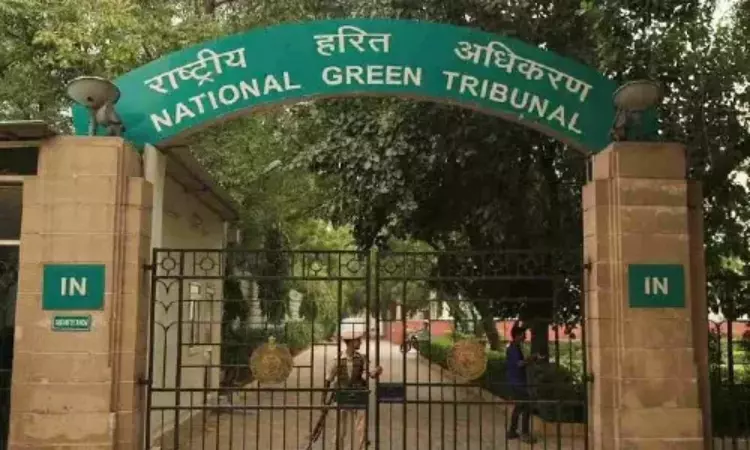 17,600 Trees Felled for Kanwar Yatra Route in UP: NGT Orders Clarification from State