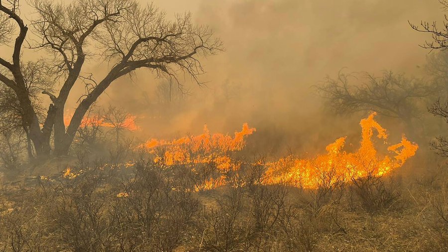 photo:Smokehouse Creek Fire