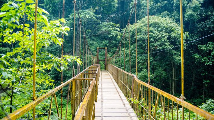 Coorg, Karnataka