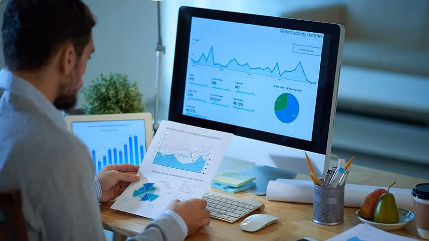 SEO Consultant