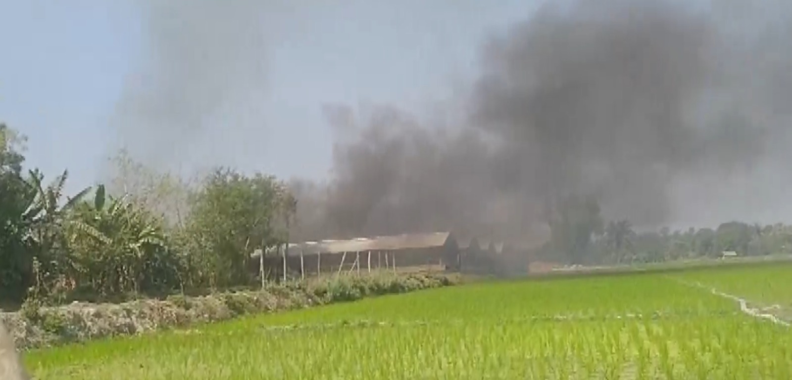 photo: poultry farm of Shibu Hazra was burned down