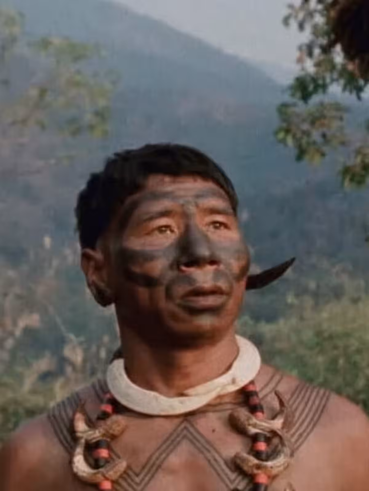Angh Wins TIFF Platform Prize