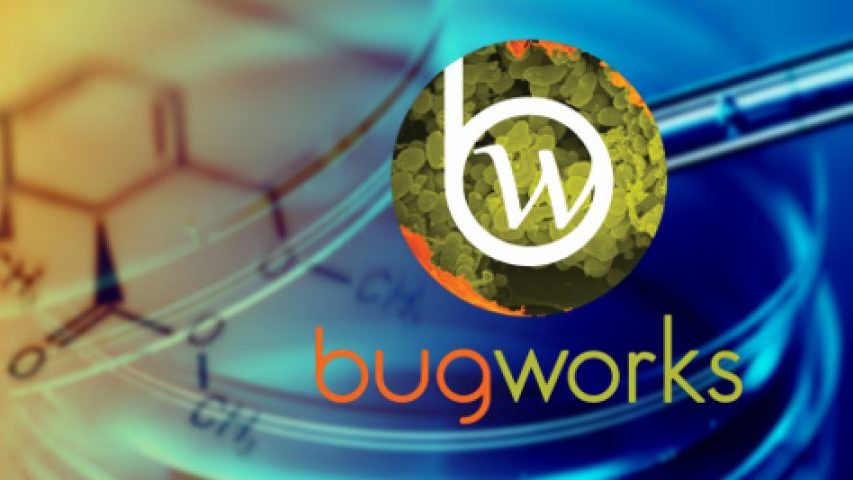 Bugworks Research