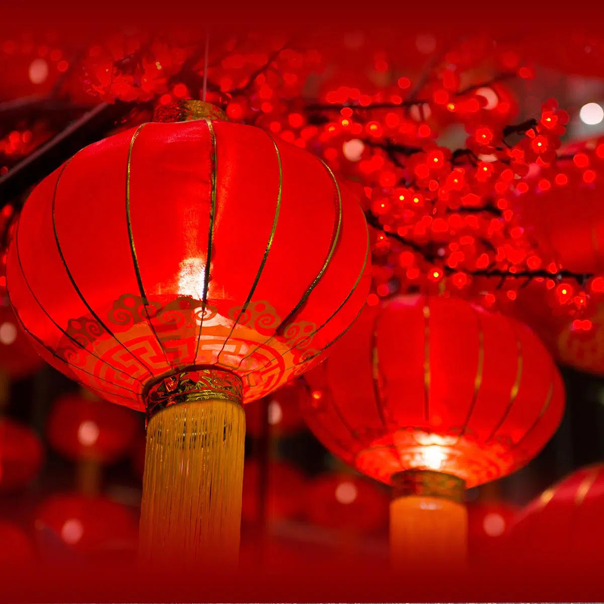 Chinese New Year