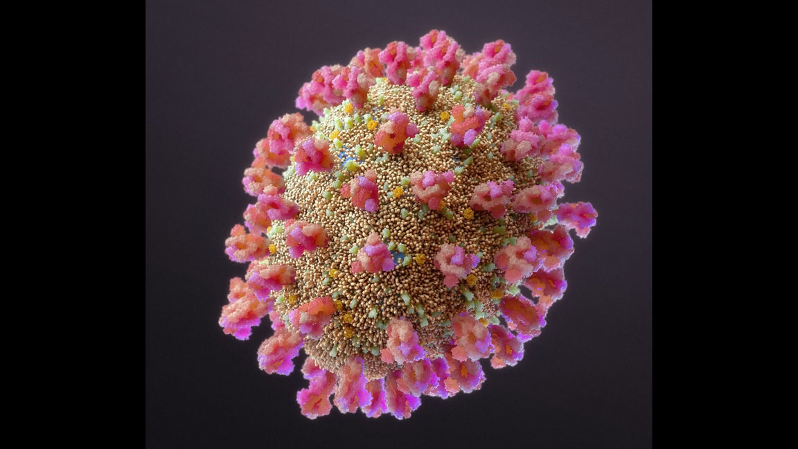 Photo: Coronavirus