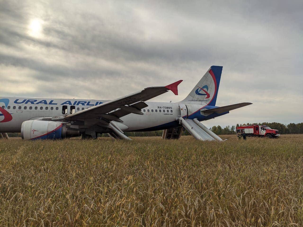 Photo: Russian plane makes emergency landing in Siberian field