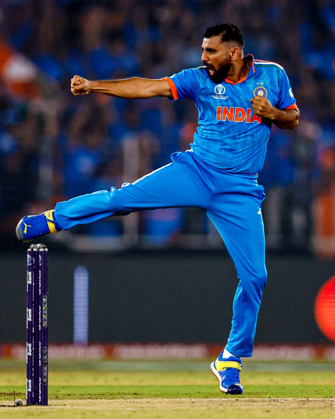 Shami wicket 