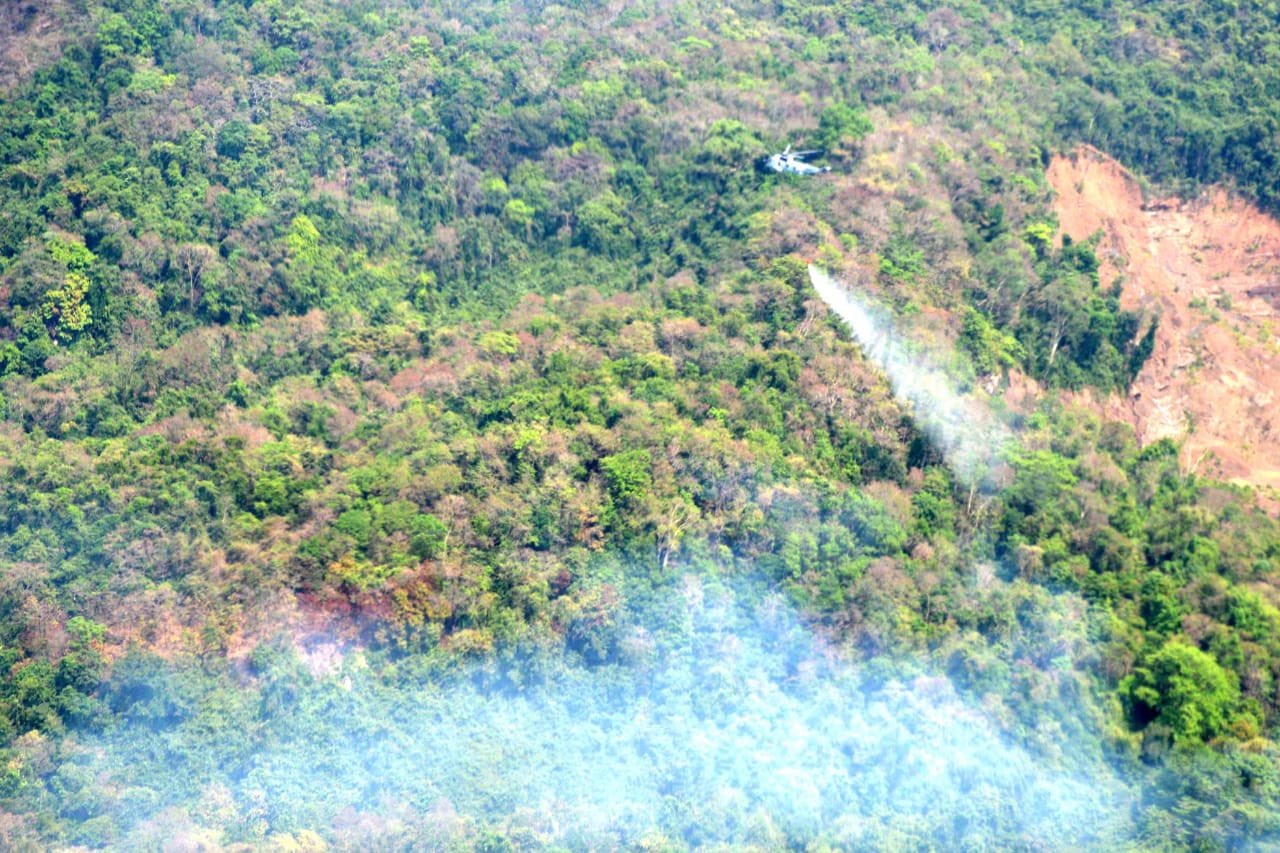 Photo: Fire in forest