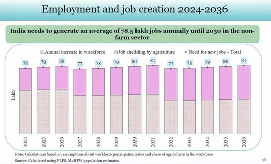 photo: economic survey 2024