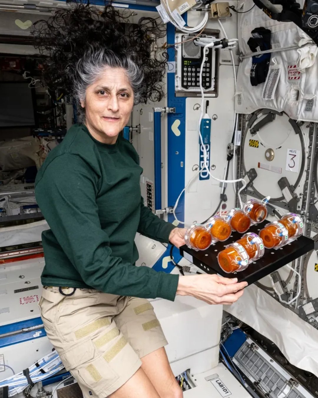 sunita williams
