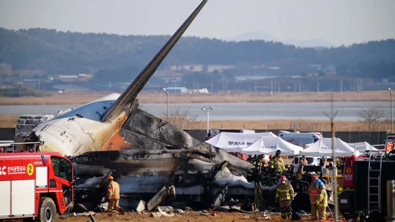 South Korea Plane Crash: 120 Confirmed Dead, 2 Rescued so far