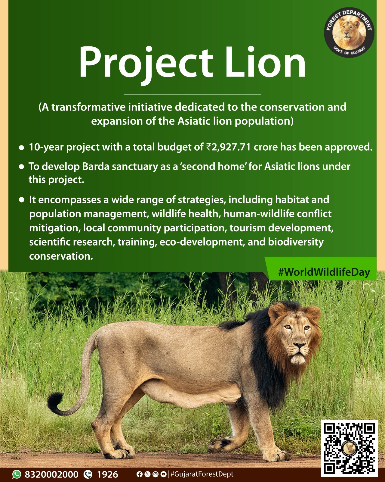 Project Lion: A Rs 2,900-Crore Conservation Initiative to Protect Asiatic Lions