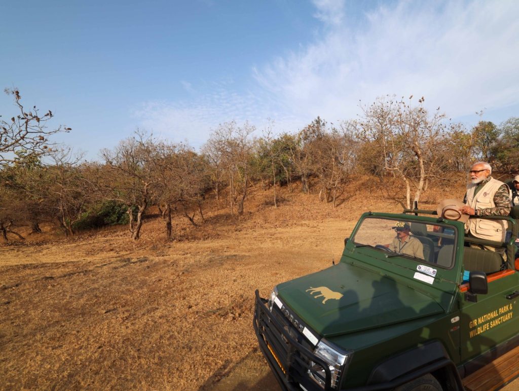 PM Modi's lion safari at Gir on world wildlife day