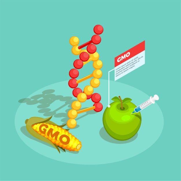 GMOs food
