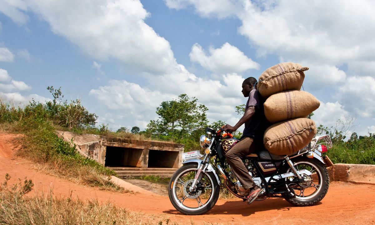  approximately 50 percent of the world's chocolate is sourced from cacao trees in the West African nations of Ivory Coast and Ghana