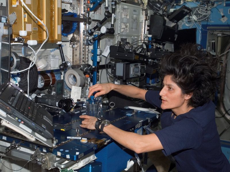 sunita williams