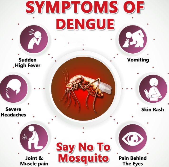 symptoms of dengue