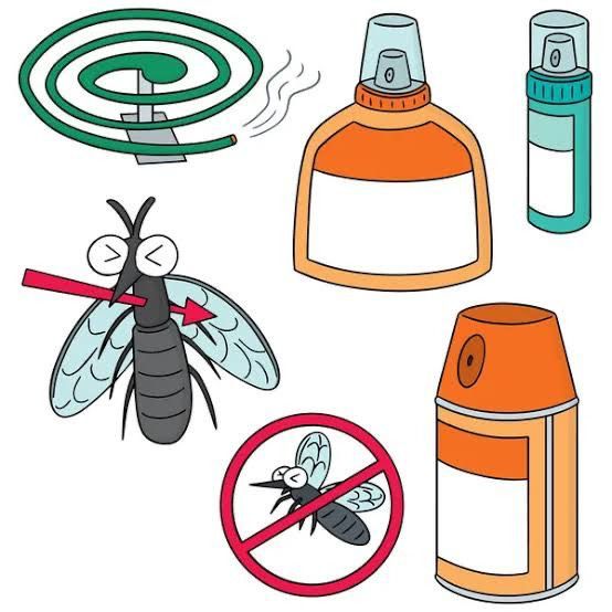 precautions against dengue