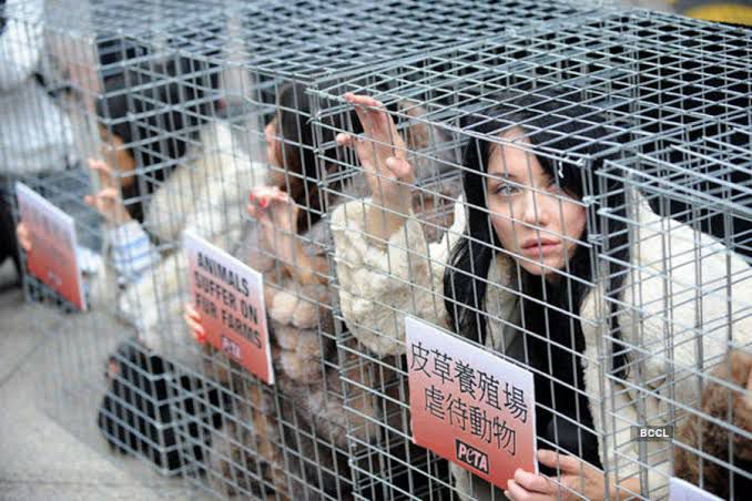HongKong Caged protest