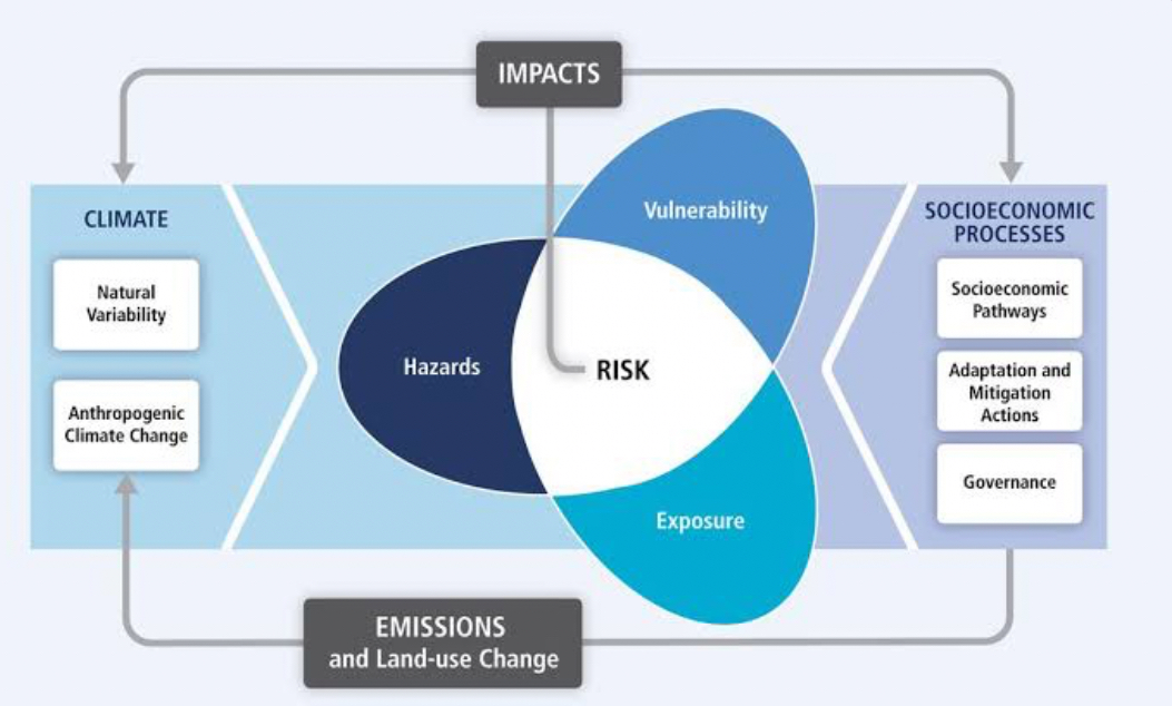 Navigating India's Summer: Balancing Health Risks Amid Rising Heatwaves