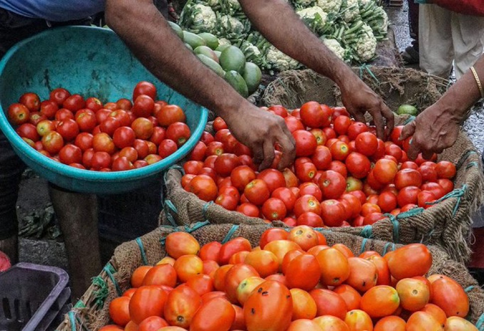 Photo Tomatoes price drop