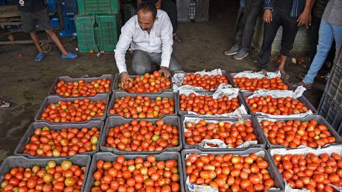 Photo Tomatoes price drop