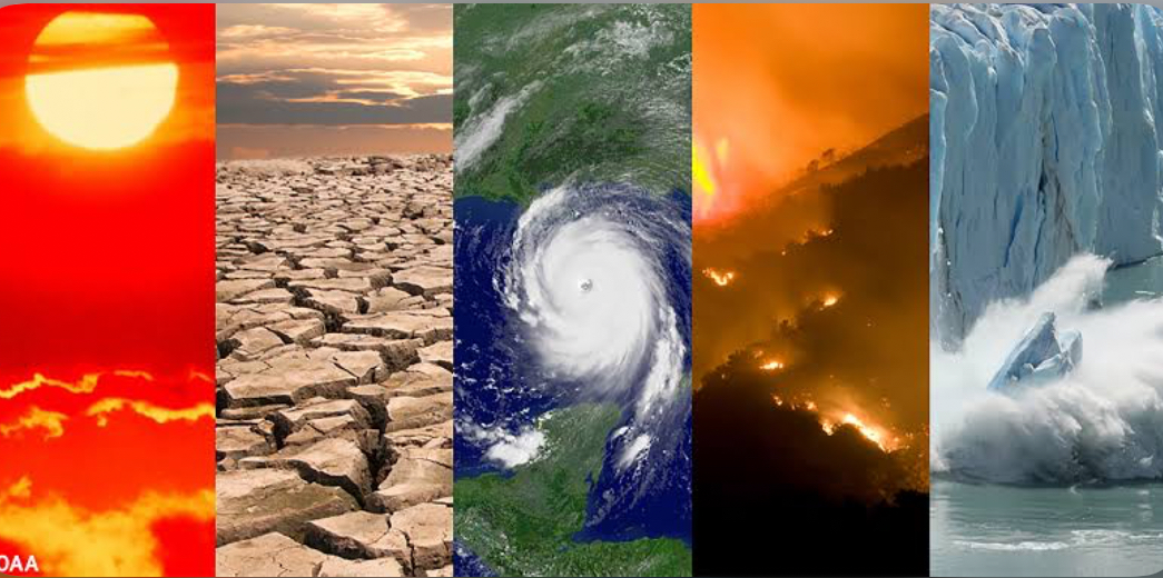 2024 On Track to Shatter Climate Records, Urgent 'Red Alert' for Global Action Needed