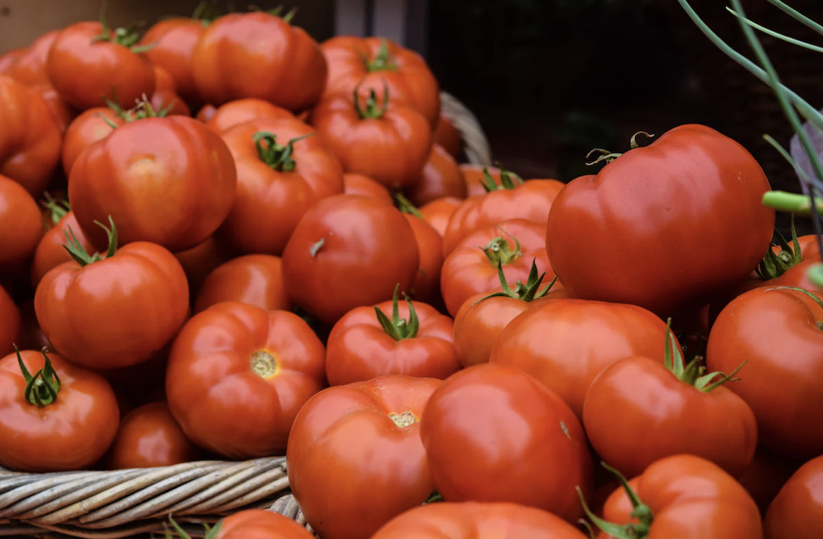 Photo Tomatoes to remain expensive for 2 more months