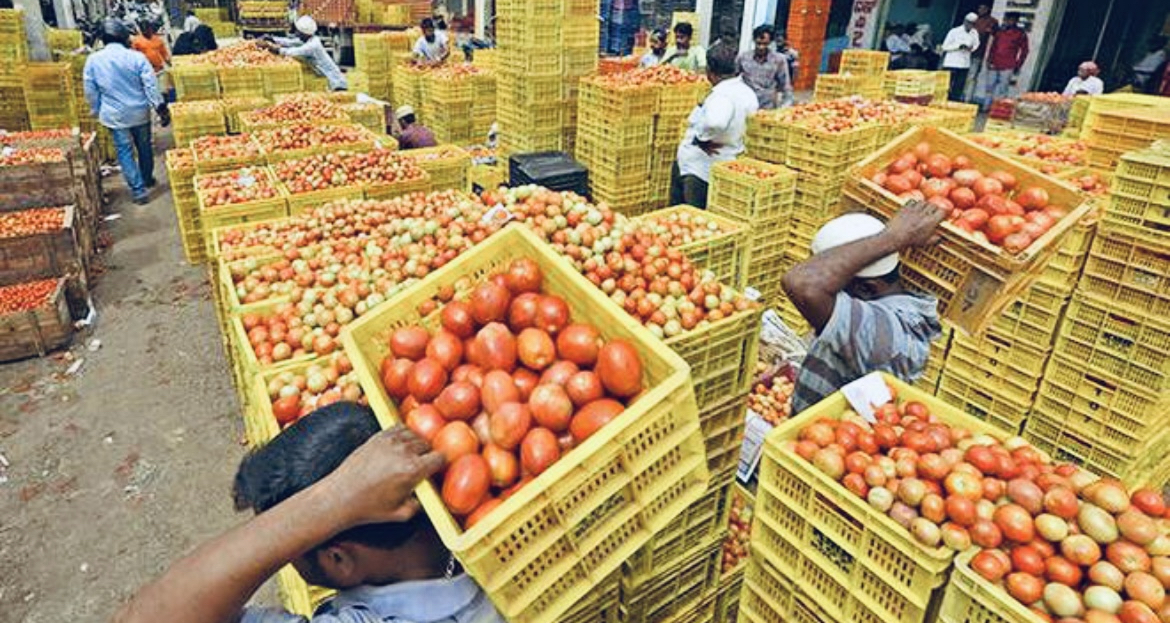 Photo Tomatoes to remain expensive for 2 more months