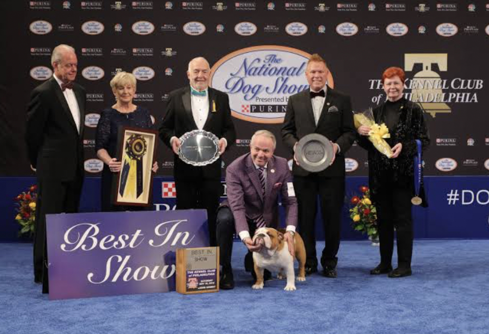 Photo national dog show