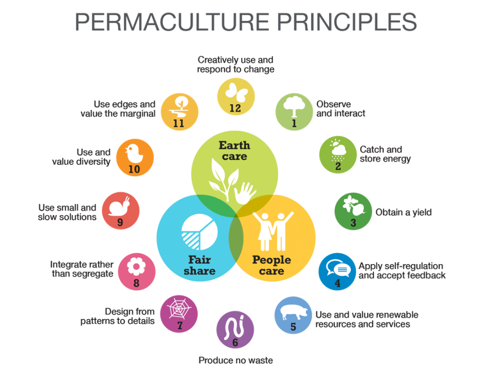 Best Practices in Sustainability - Permaculture  