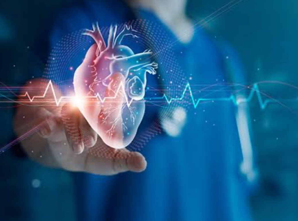 New AI Model Predicts Cardiac Irregularities 30 Minutes in Advance